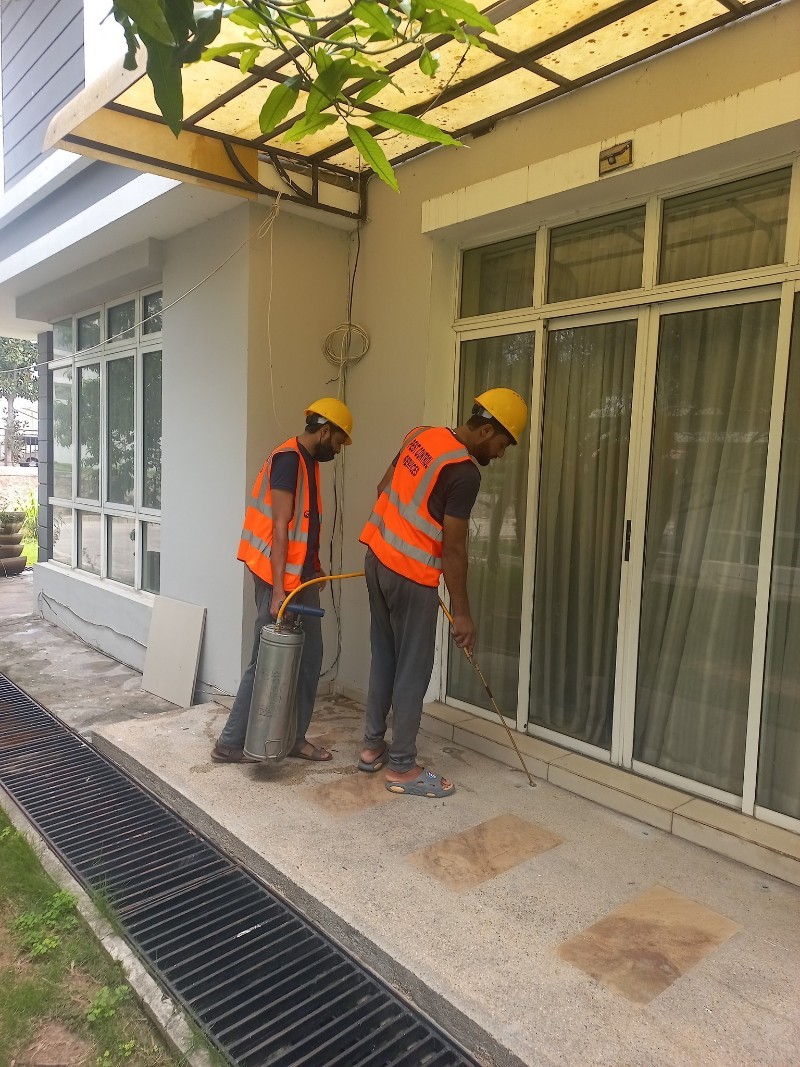 Team members working on pest control