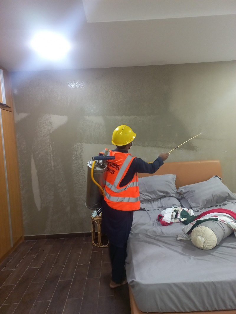 Our team member while providing services